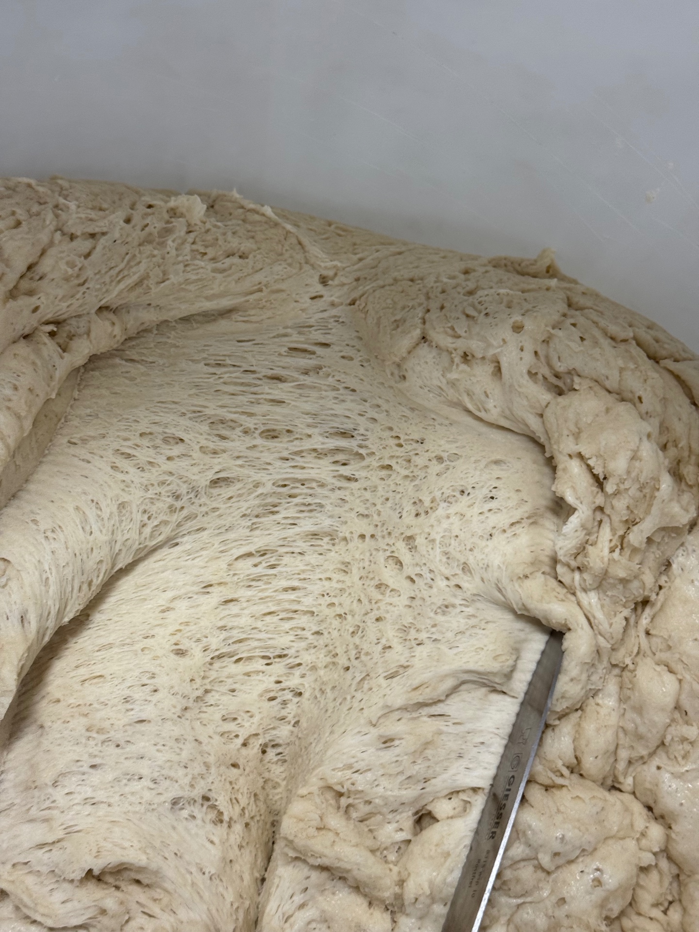 Slow-fermented Neapolitan dough mass showing an open honeycomb structure
